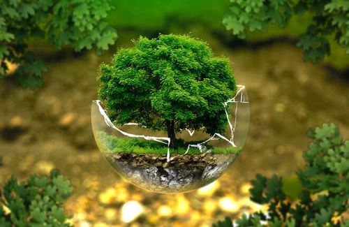 環(huán)境采樣是什么意思 環(huán)境采樣是什么意思