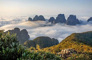 金秀環(huán)境檢測-金秀第三方檢測機構 金秀環(huán)境檢測-金秀第三方檢測機構